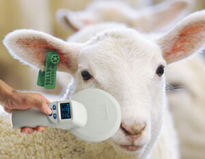 RFID tag reader