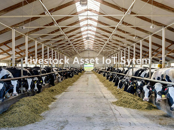 livestock asset iot system