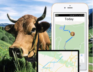 animal tracker