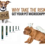 RBC-Z05 Microchips syringe